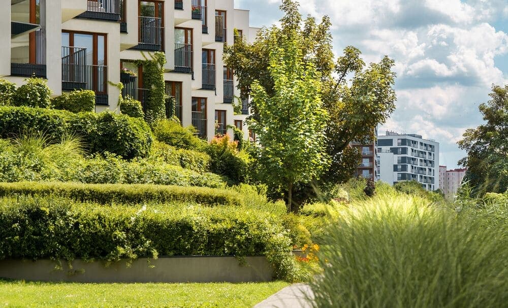 Rapport d'intervention en copropriété avec photos avant/après généré par Terraxia